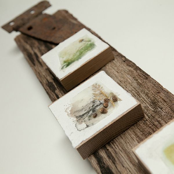 Encaustic Wax