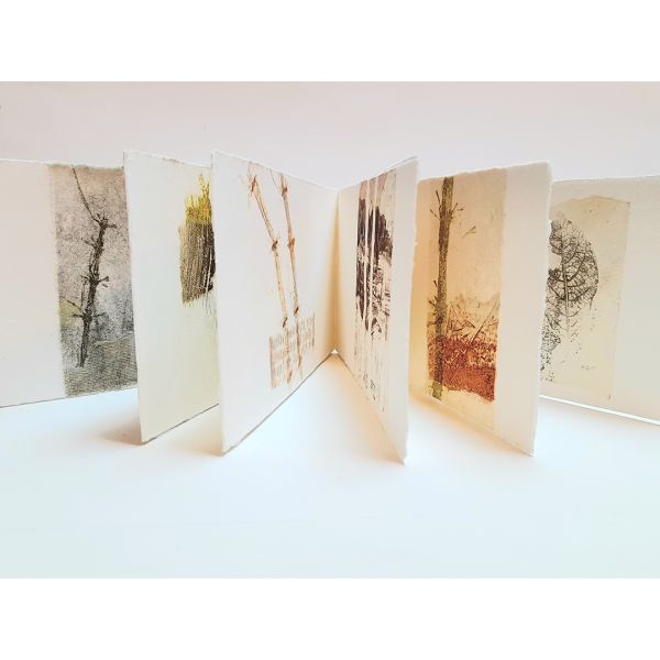 Carol Harvey artist pool meadow project