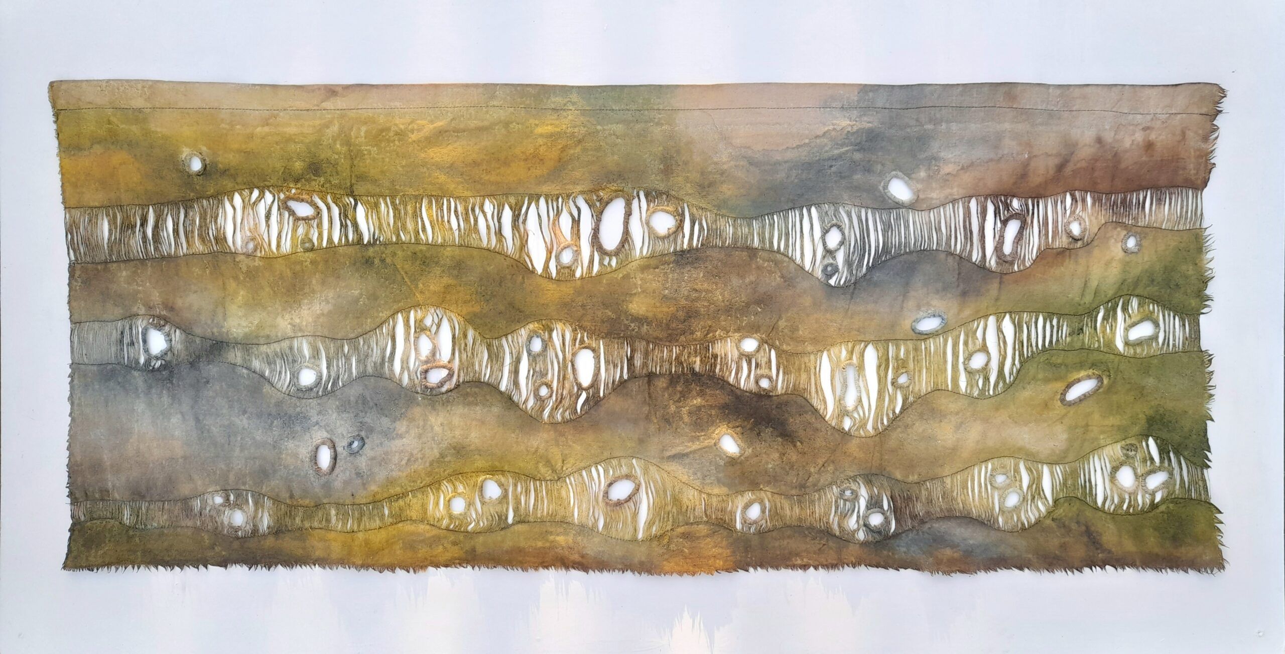 Forest Meadow Stream by Carol Harvey