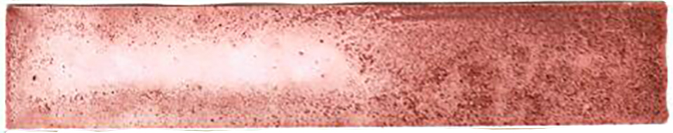 Carol Harvey Biome Boxes