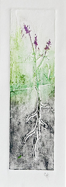 Carol Harvey Sainfoin