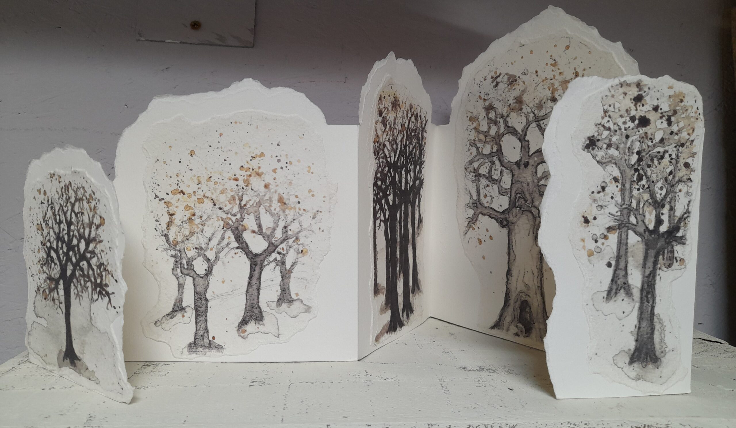 SEARCHING FOR THE HOLLOW OAK