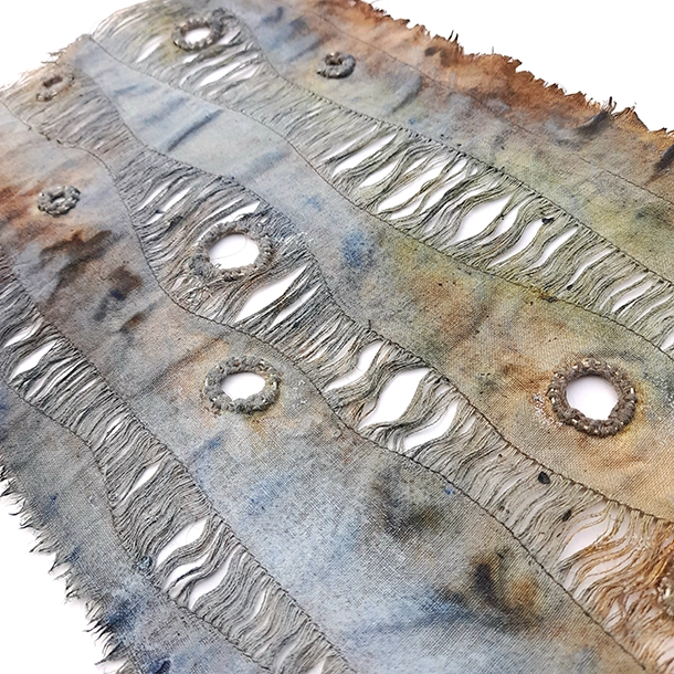 Pool Meadow Project by Carol Harvey