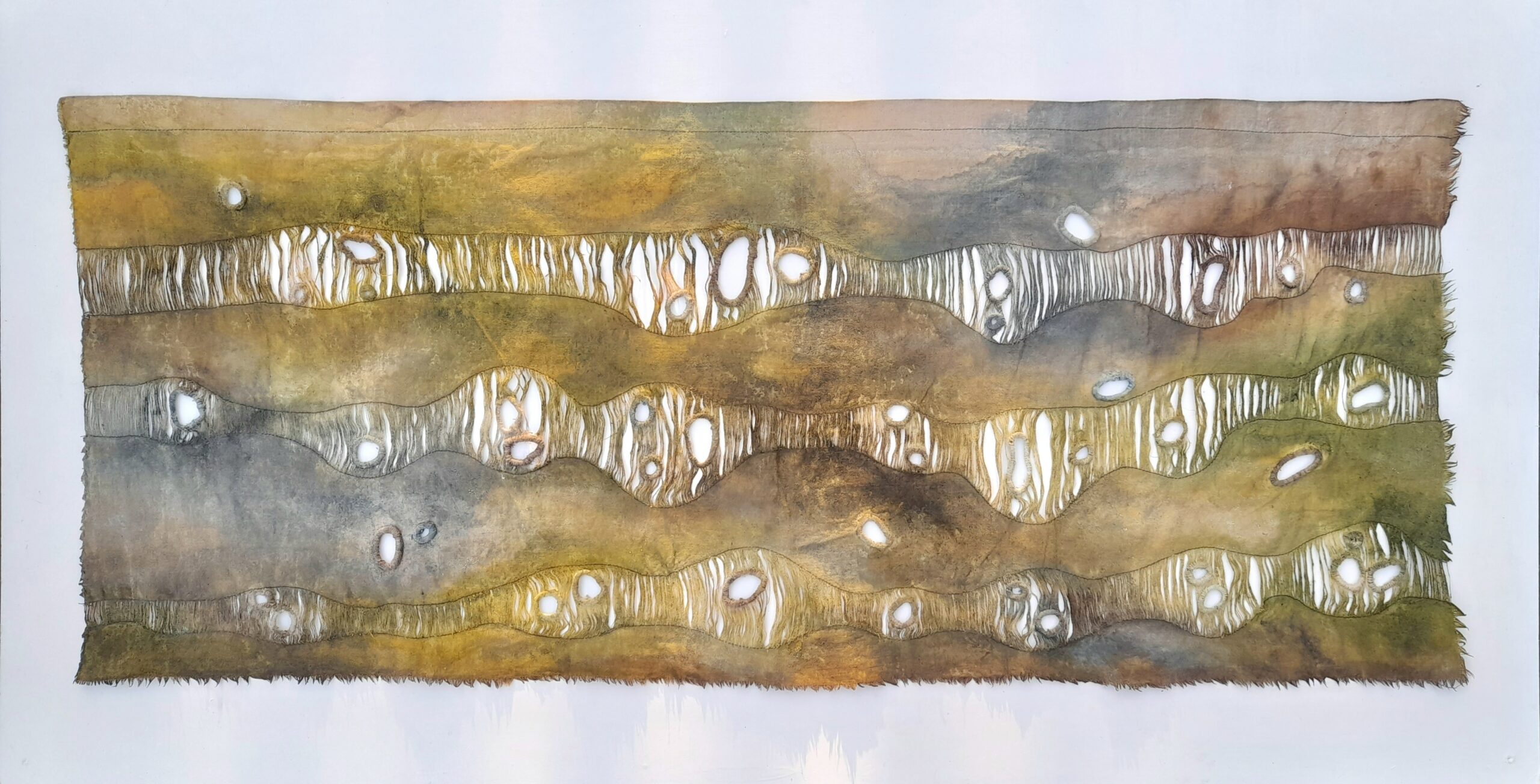 Forest Meadow Stream by Carol Harvey