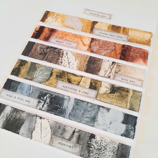 Pool Meadow Project by Carol Harvey