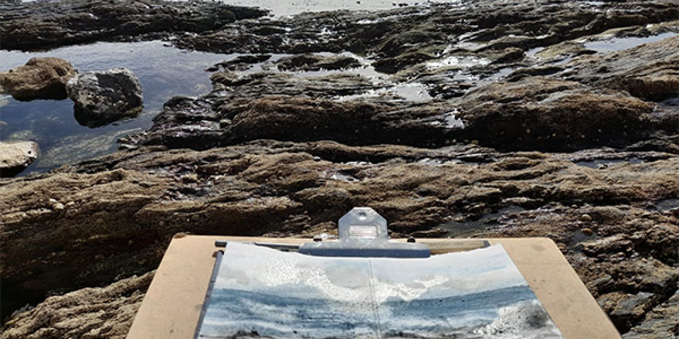 Sunshine in Falmouth Carol Harvey Art