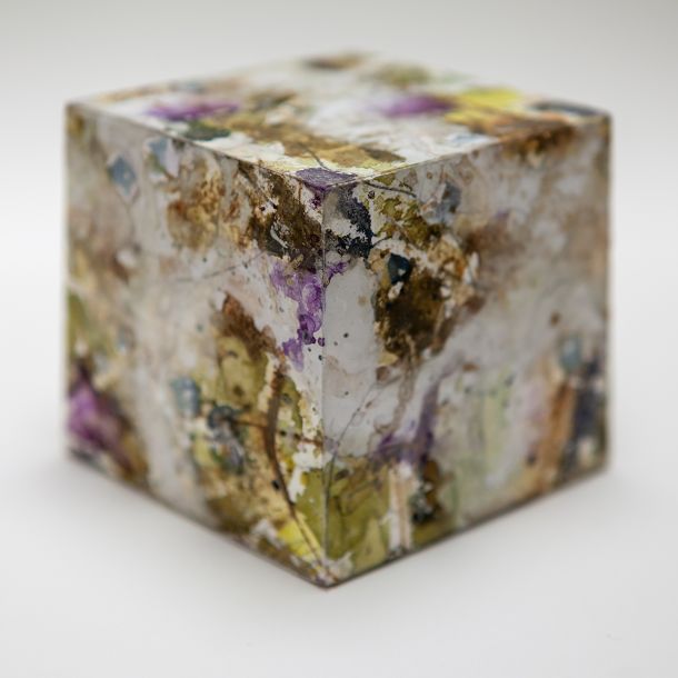 Carol Harvey Biome Boxes