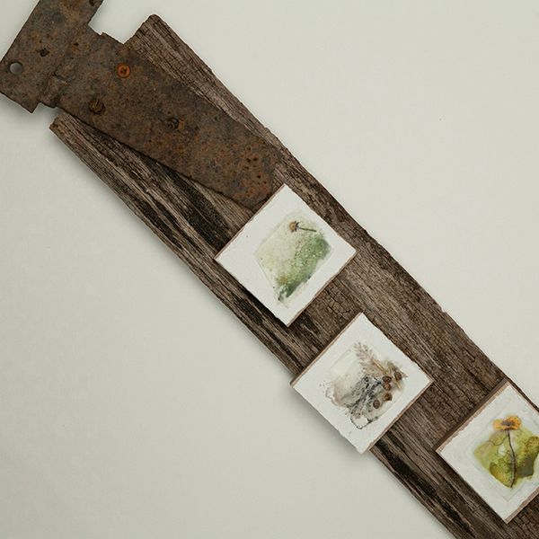 Encaustic Wax