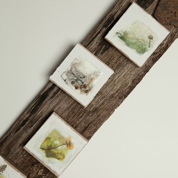 Encaustic Wax