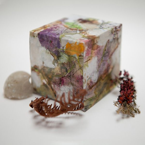 I am proud of my biome boxes artwork. Each box represents a unique ecosystem and showcases the beauty of nature