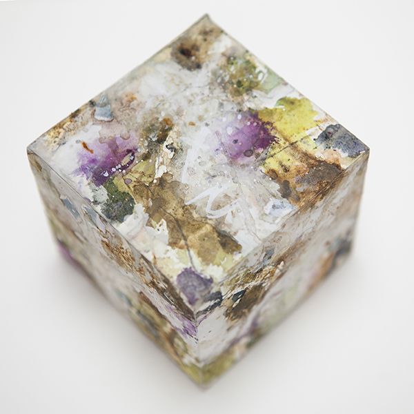 Biome Boxes