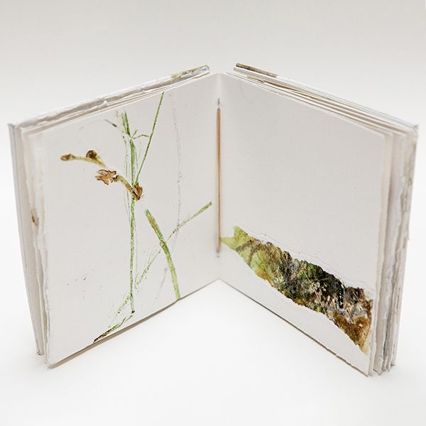 Farm Art Exhibition by Carol Harvey