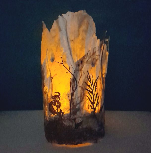 The Feeling of a Forest by Carol Harvey