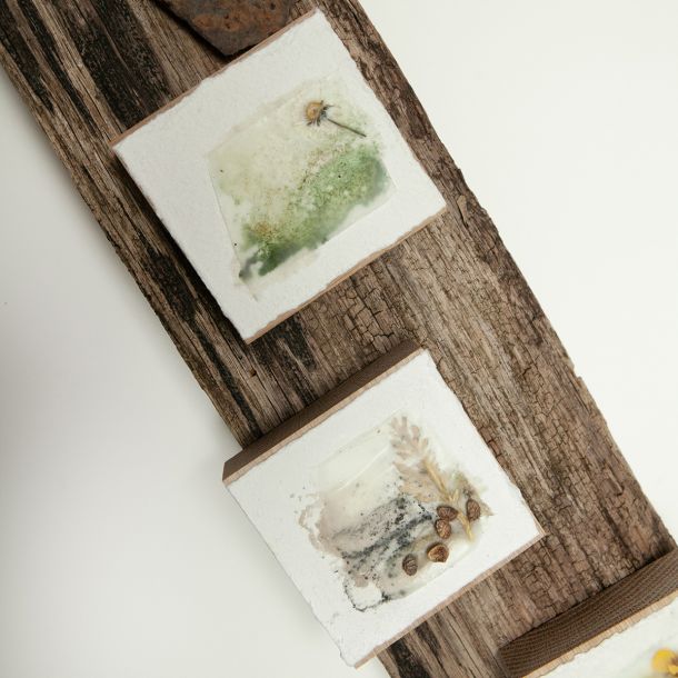 Carol Harvey Encaustic Wax