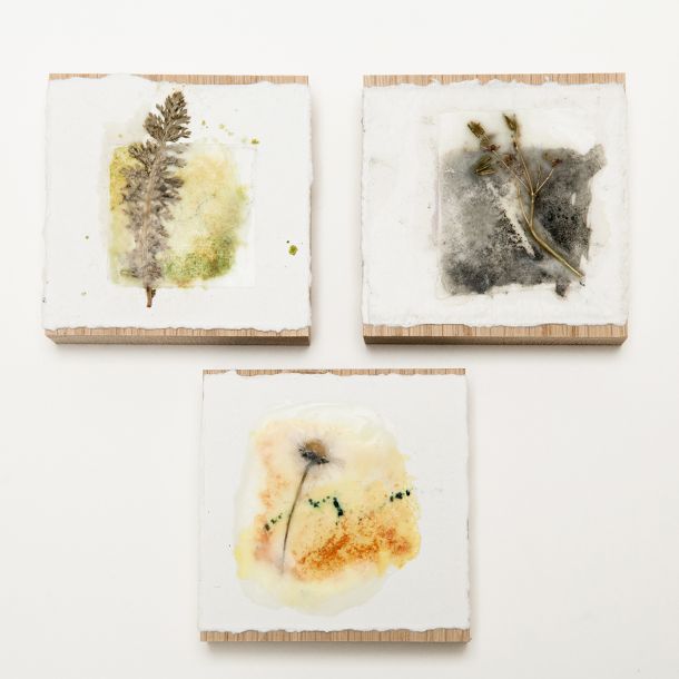 Encaustic wax