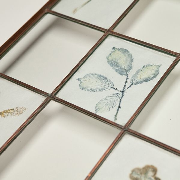 Carol Harvey Biome Boxes