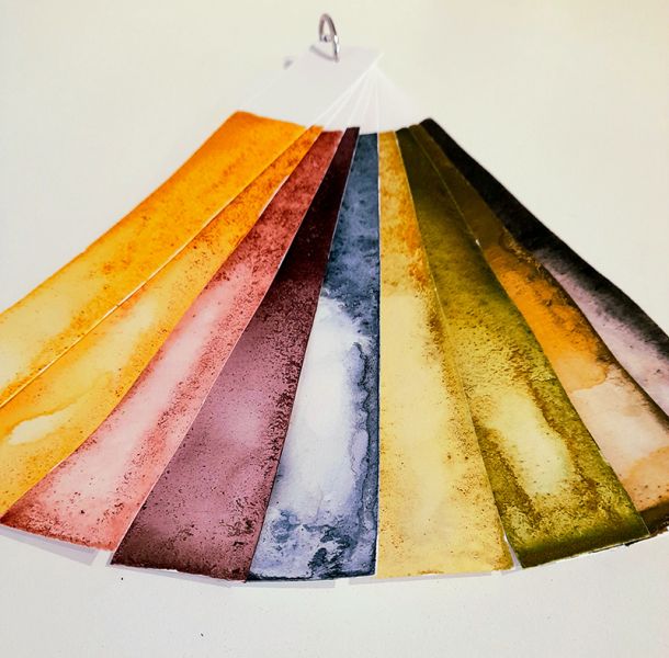 Carol Harvey Natural Watercolour Paints