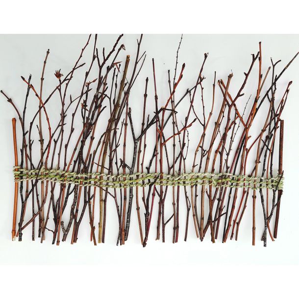 As Long As The Meadow Blooms