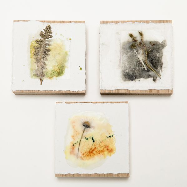 Carol Harvey Encaustic Wax