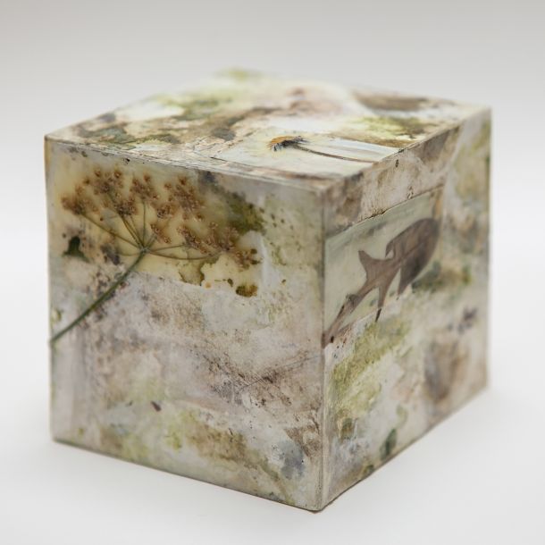 Carol Harvey Biome Boxes