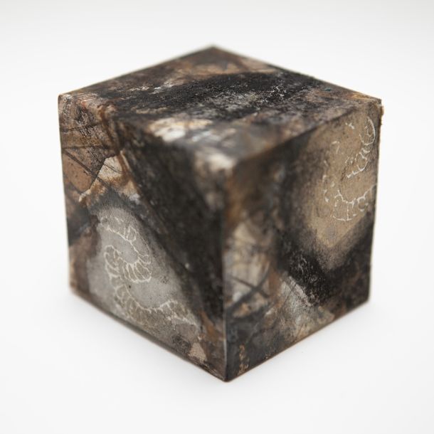 Carol Harvey Biome Boxes