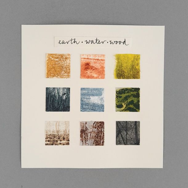 Pool Meadow Project by Carol Harvey