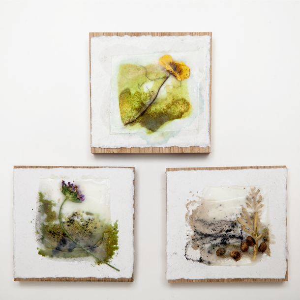 Encaustic wax