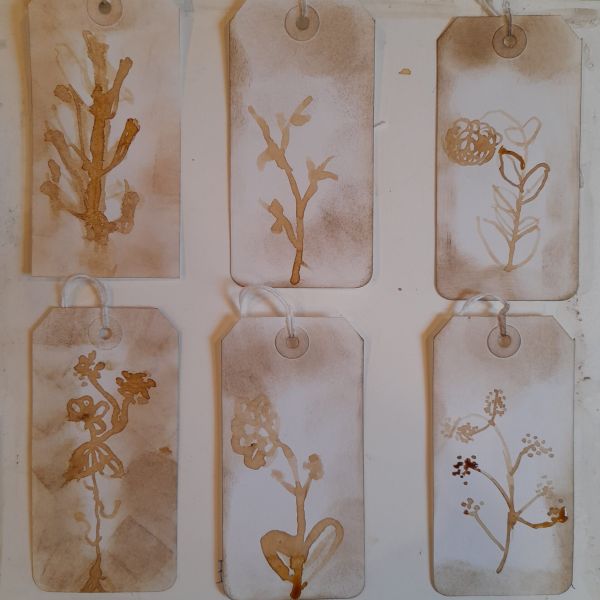 Carol Harvey Workshops