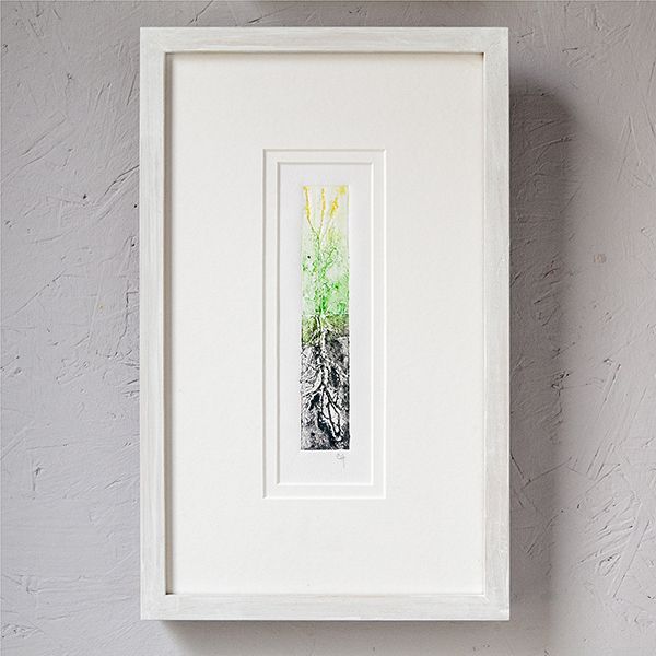 Farm Art Exhibition by Carol Harvey