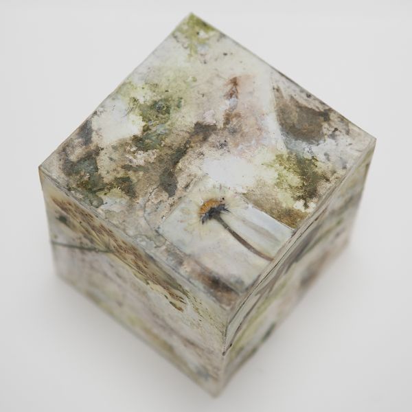 Carol Harvey Biome Boxes