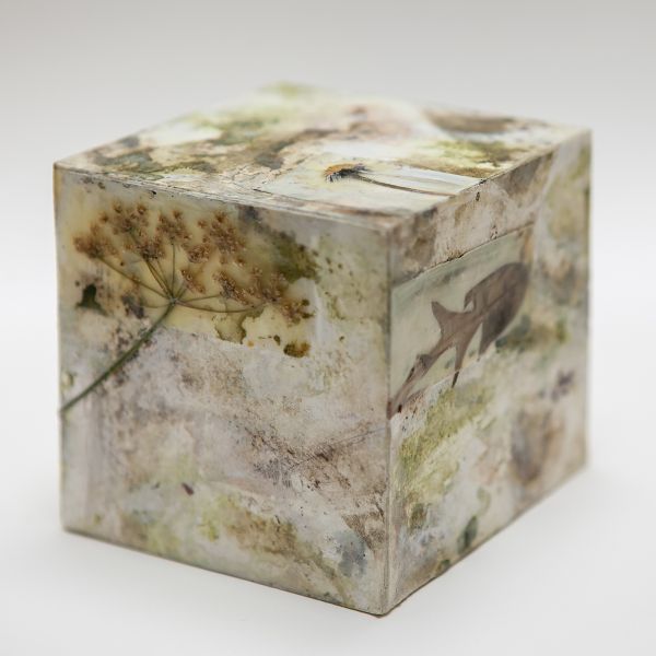 Carol Harvey Biome Boxes