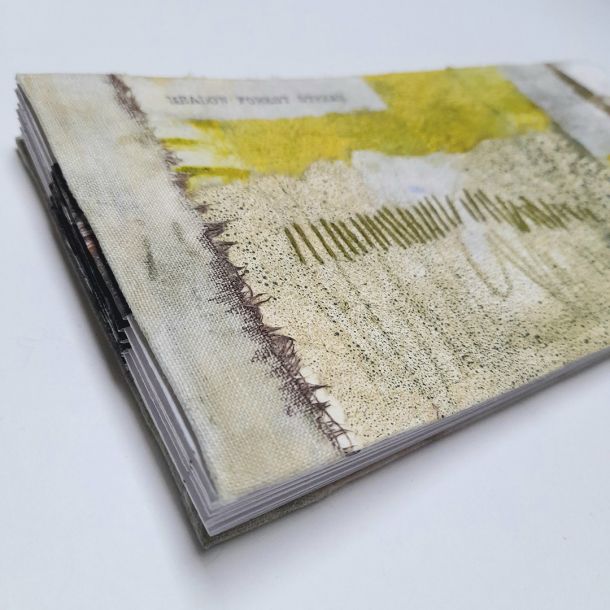 Pool Meadow Project by Carol Harvey