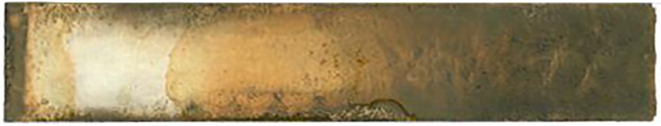 Carol harvey Weathered Wood Sage