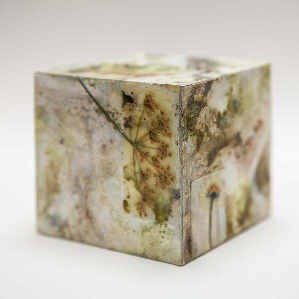 Carol Harvey Biome Boxes