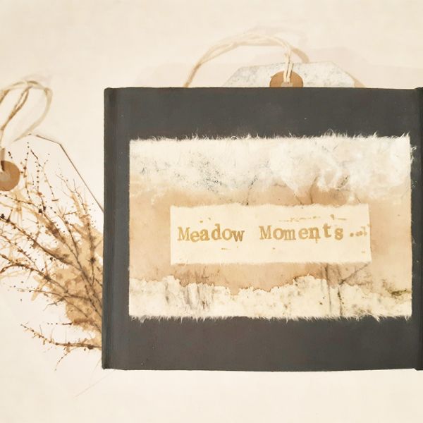 Meadows-Moments