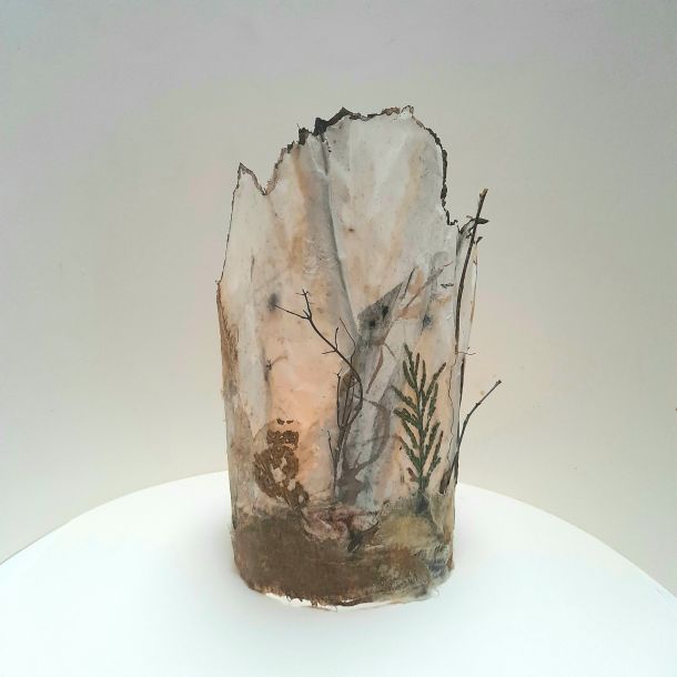 The Feeling of a Forest by Carol Harvey