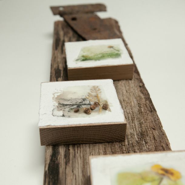 Carol Harvey Encaustic Wax