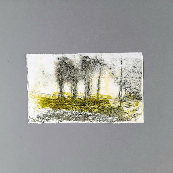 Pool Meadow Project by Carol Harvey