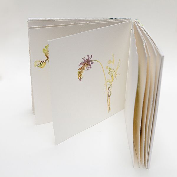 Farm Art Exhibition by Carol Harvey