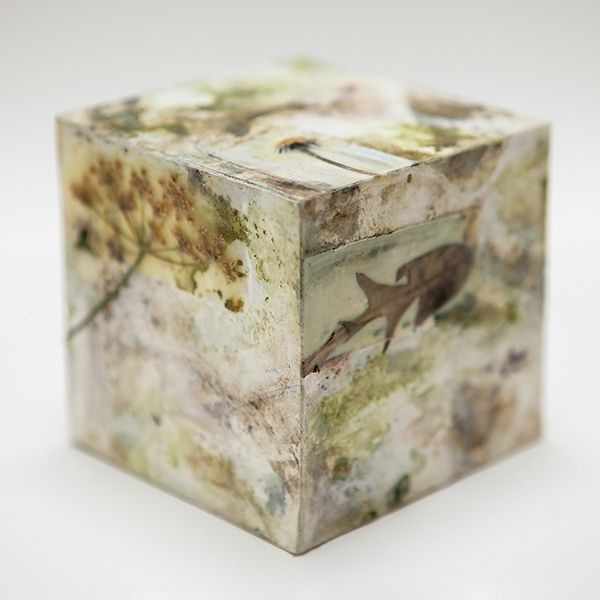 Biome Boxes