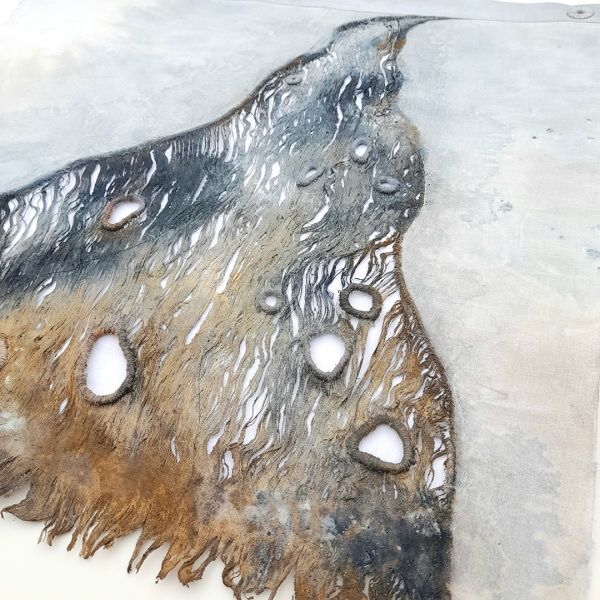 Pool Meadow Project by Carol Harvey